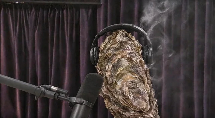An oyster wearing headphones sits at a podcast microphone.